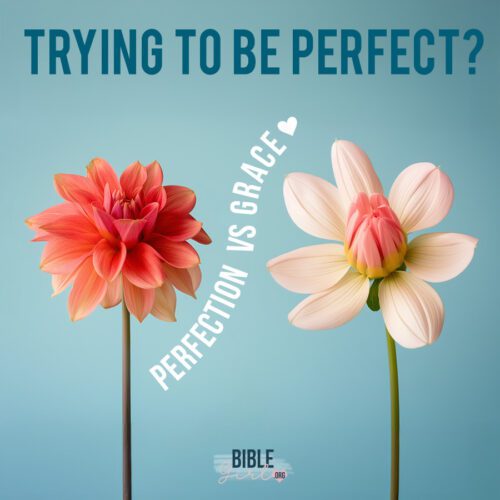 Grace and Perfection: A Bible Study